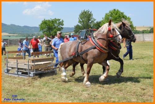 201606261639210.furmanske_preteky_387