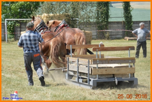 201606261639210.furmanske_preteky_392