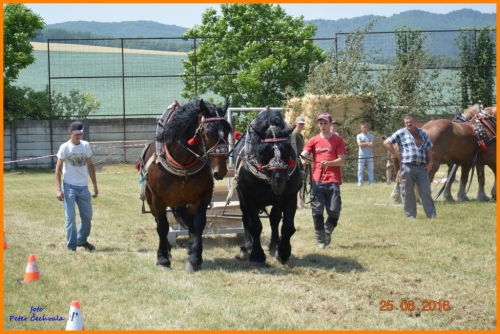 201606261639210.furmanske_preteky_393