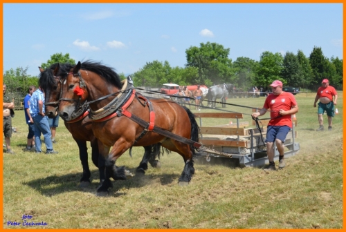 201606261639210.furmanske_preteky_408