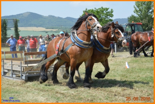 201606261639210.furmanske_preteky_411