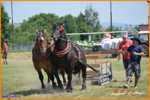 201606261639210.furmanske_preteky_416