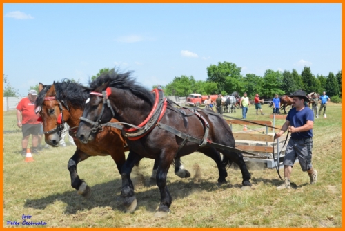 201606261639210.furmanske_preteky_424