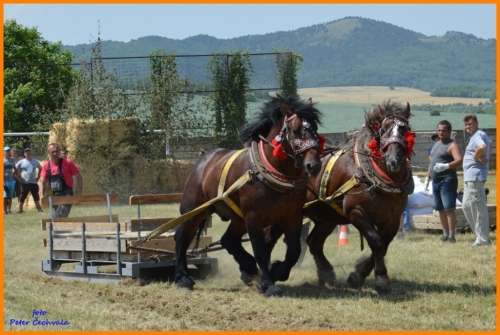 201606261639210.furmanske_preteky_431