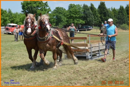 201606261639210.furmanske_preteky_442