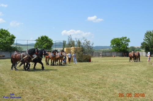 201606261639210.furmanske_preteky_453