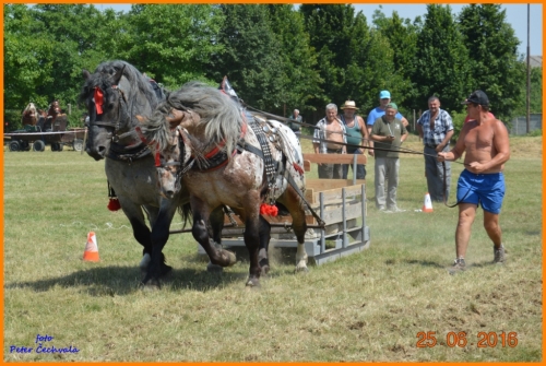 201606261639210.furmanske_preteky_463