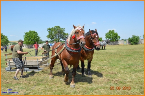 201606261639210.furmanske_preteky_473