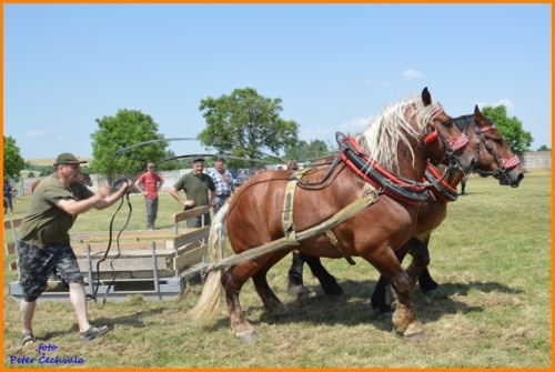 201606261639210.furmanske_preteky_475