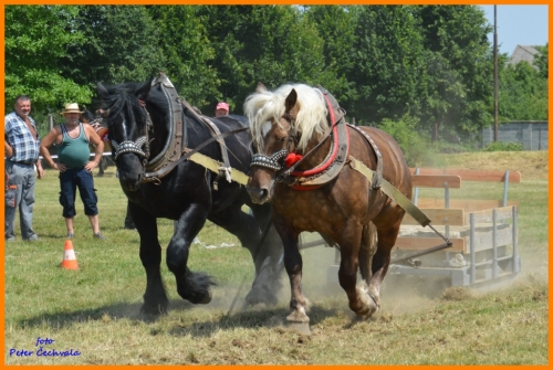 201606261639210.furmanske_preteky_480