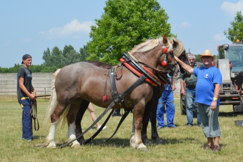 201606261639210.furmanske_preteky_494