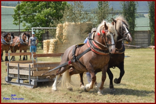 201606261639210.furmanske_preteky_497