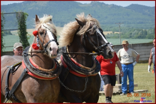 201606261639210.furmanske_preteky_510