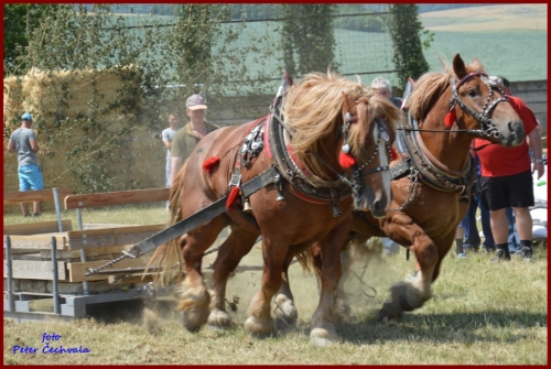 201606261639210.furmanske_preteky_518