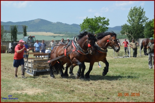 201606261639210.furmanske_preteky_565