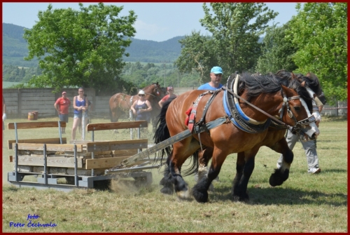 201606261639210.furmanske_preteky_573