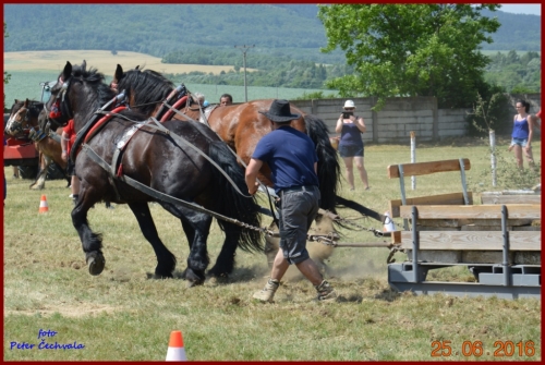 201606261639210.furmanske_preteky_579