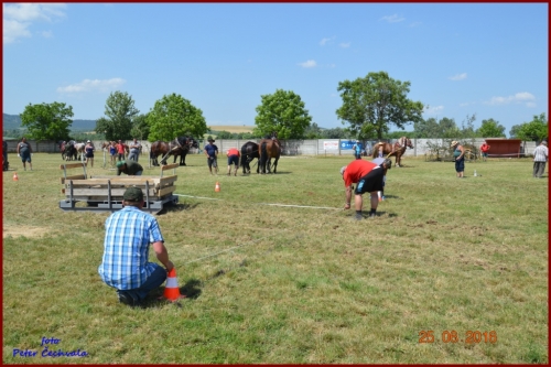 201606261639210.furmanske_preteky_583