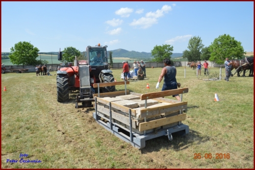 201606261639210.furmanske_preteky_584