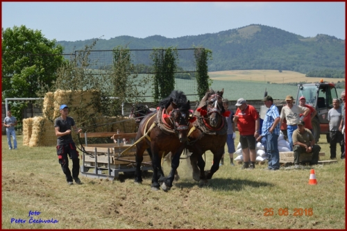 201606261639210.furmanske_preteky_589