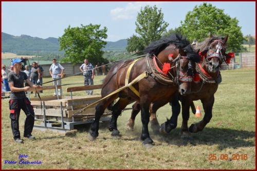 201606261639210.furmanske_preteky_596