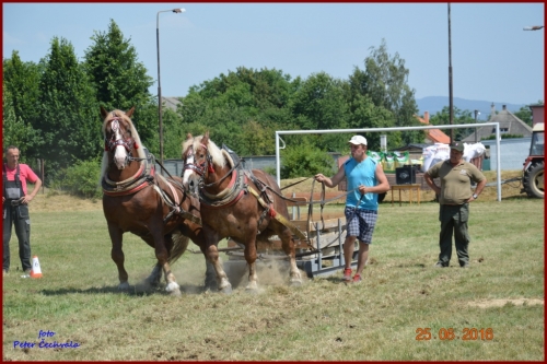 201606261639210.furmanske_preteky_609