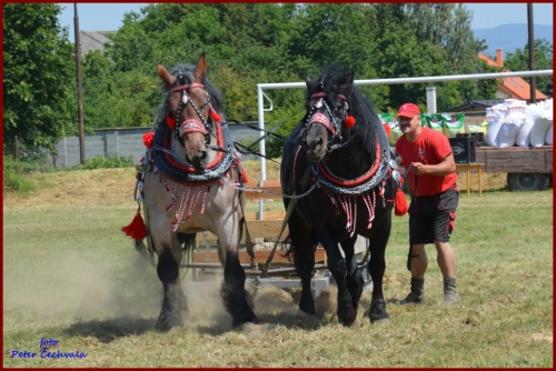 201606261639210.furmanske_preteky_614