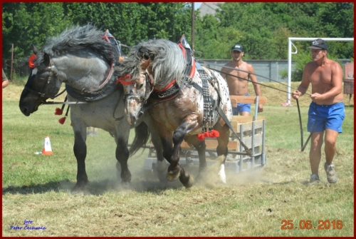 201606261639210.furmanske_preteky_627