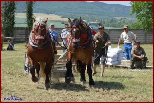 201606261639210.furmanske_preteky_643