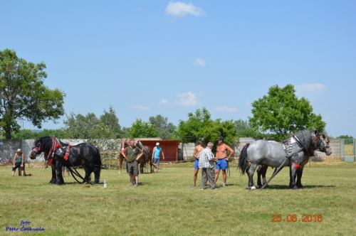 201606261639210.furmanske_preteky_647