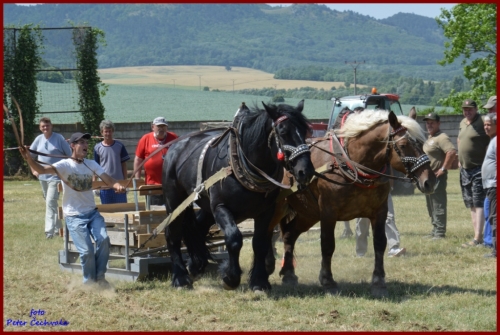 201606261639210.furmanske_preteky_653