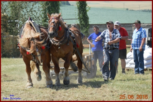 201606261639210.furmanske_preteky_676