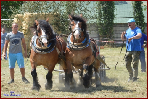 201606261639210.furmanske_preteky_683