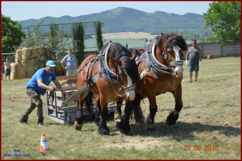 201606261639210.furmanske_preteky_712