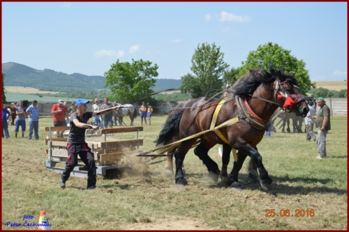 201606261639210.furmanske_preteky_741