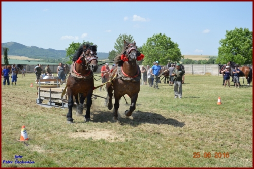 201606261639220.furmanske_preteky_749