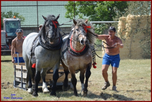 201606261639220.furmanske_preteky_771