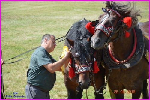 201606261639220.furmanske_preteky_803