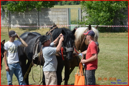 201606261639220.furmanske_preteky_816