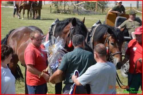 201606261639220.furmanske_preteky_818