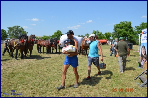 201606261639220.furmanske_preteky_838