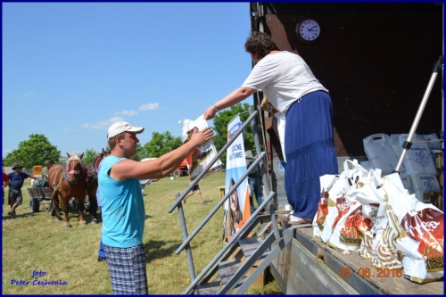 201606261639220.furmanske_preteky_842