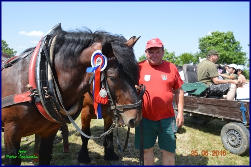 201606261639220.furmanske_preteky_845