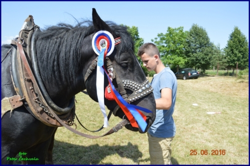 201606261639220.furmanske_preteky_847