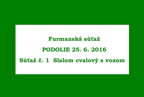201606261643520.furmanske_preteky_015a