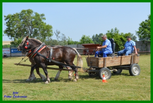 201606261643520.furmanske_preteky_016