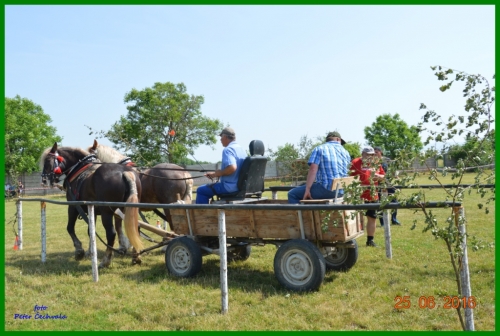 201606261643520.furmanske_preteky_018