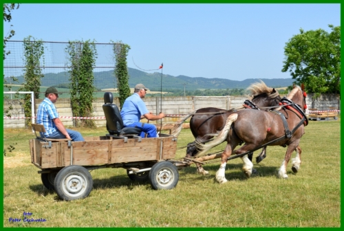 201606261643520.furmanske_preteky_024