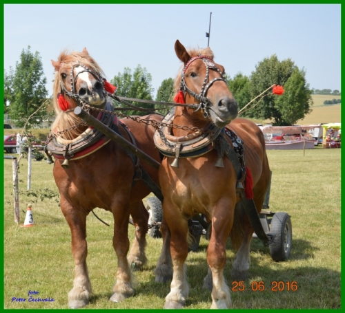 201606261643520.furmanske_preteky_027