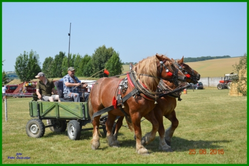 201606261643520.furmanske_preteky_028